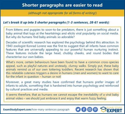 How Many Sentences Does a Essay Have? – Exploring the Length and Structure of an Essay